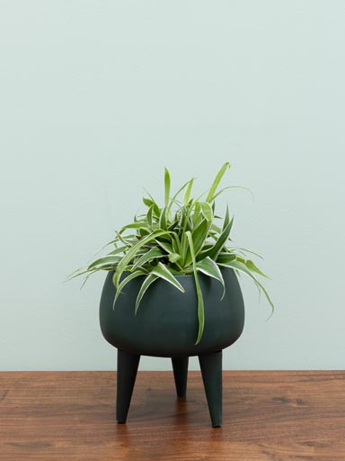 Small green flower pot on tripod