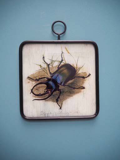 Glass frame Insect with ring
