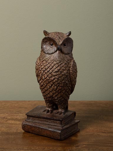 Library owl