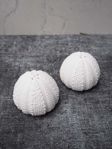 S/2 salt & pepper urchin porcelain