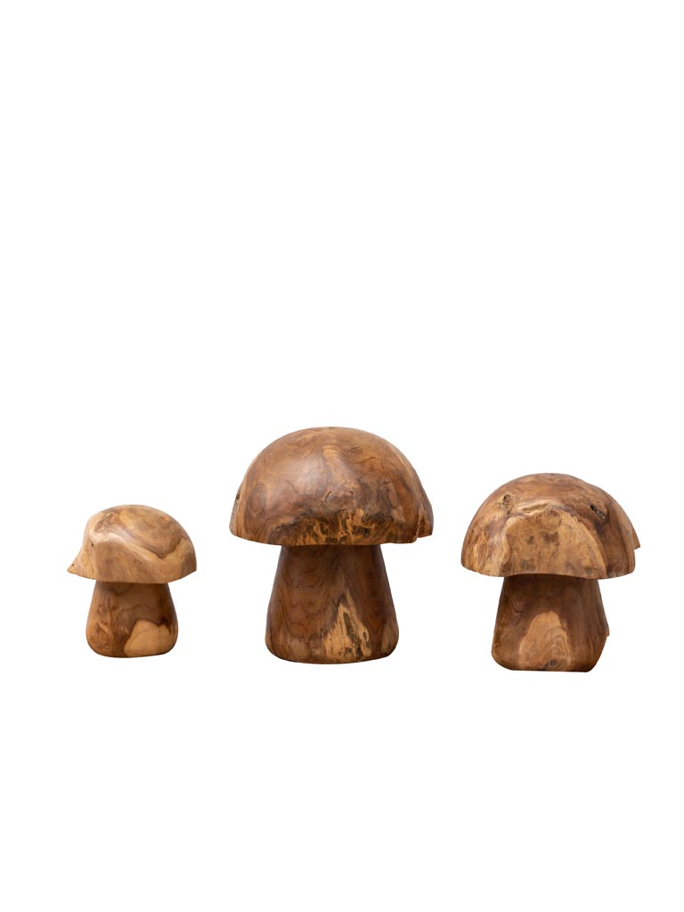 S/3 outdoor teak mushrooms - 3
