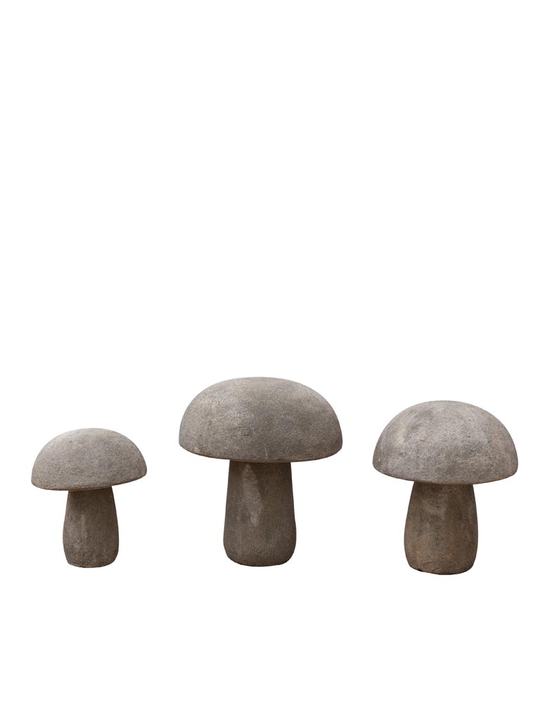 S/3 outdoor mushrooms in cement - 3