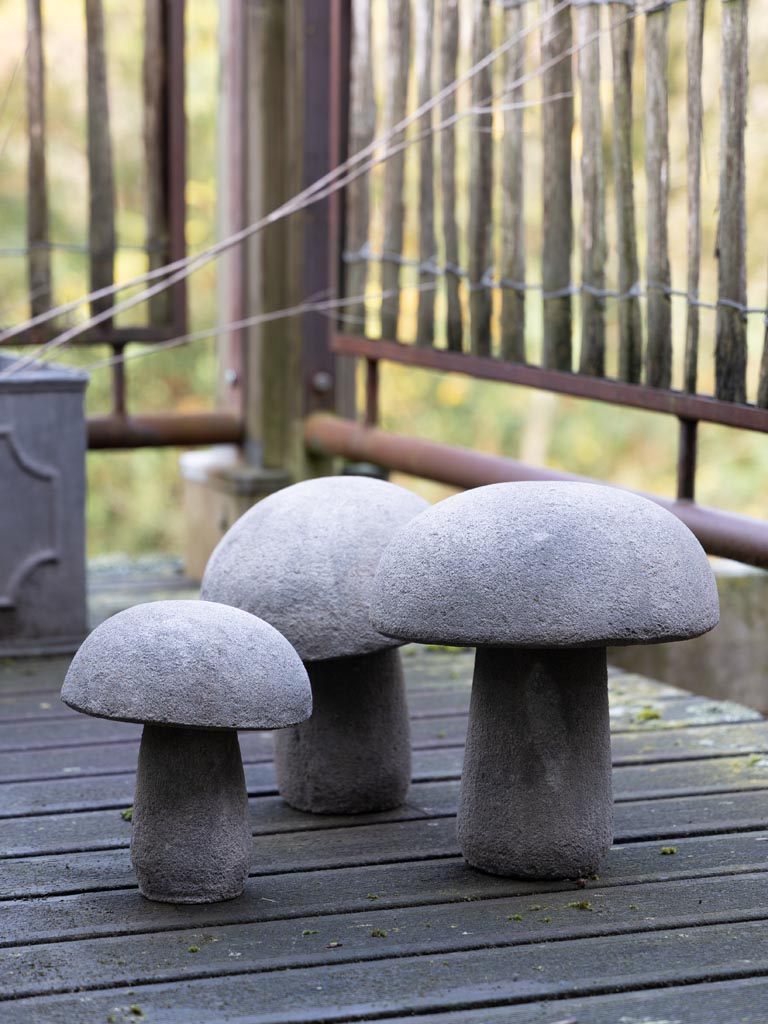 S/3 outdoor mushrooms in cement - 4