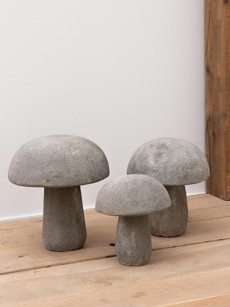 S/3 outdoor mushrooms in cement - 5