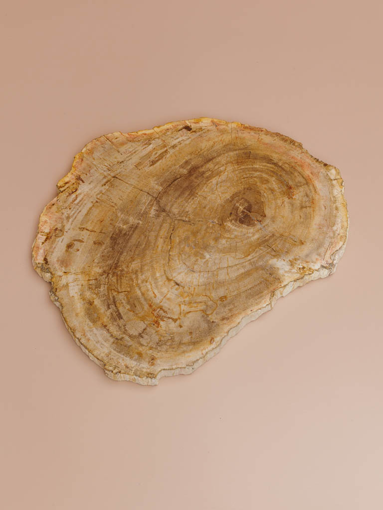 Petrified wood cutting board - 1