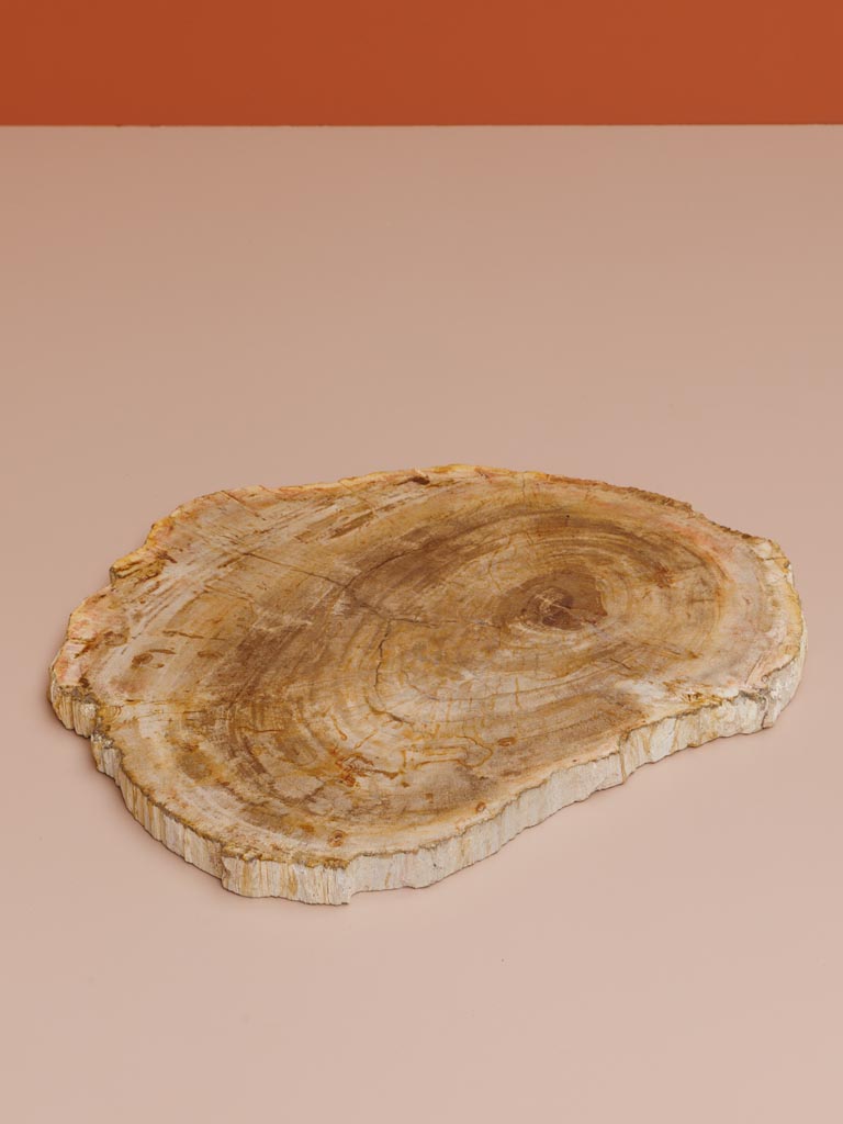 Petrified wood cutting board - 3
