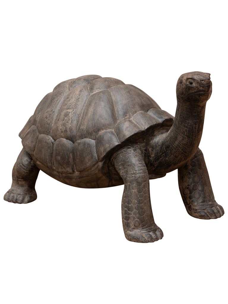 Moyenne tortue bois massif - 4
