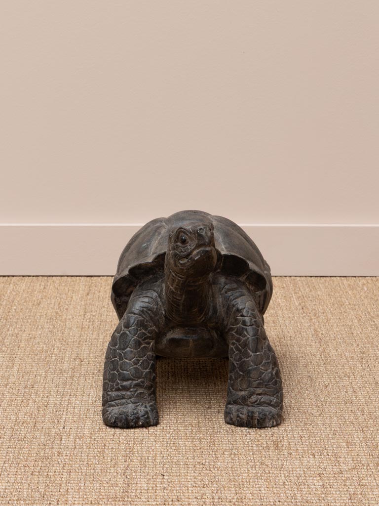 Moyenne tortue bois massif - 5