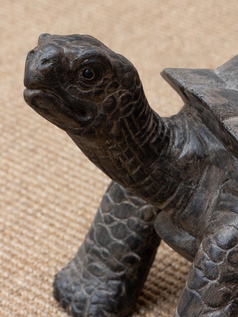Moyenne tortue bois massif - 6