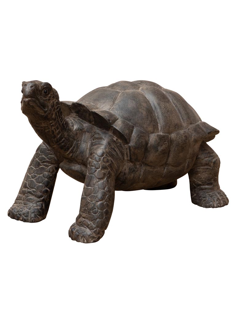 Petite tortue bois massif - 3