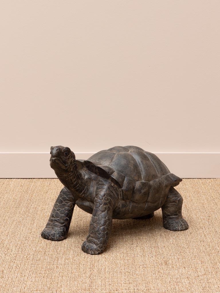 Petite tortue bois massif - 1