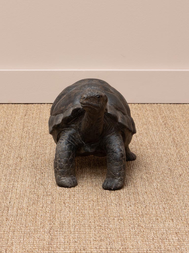 Petite tortue bois massif - 4