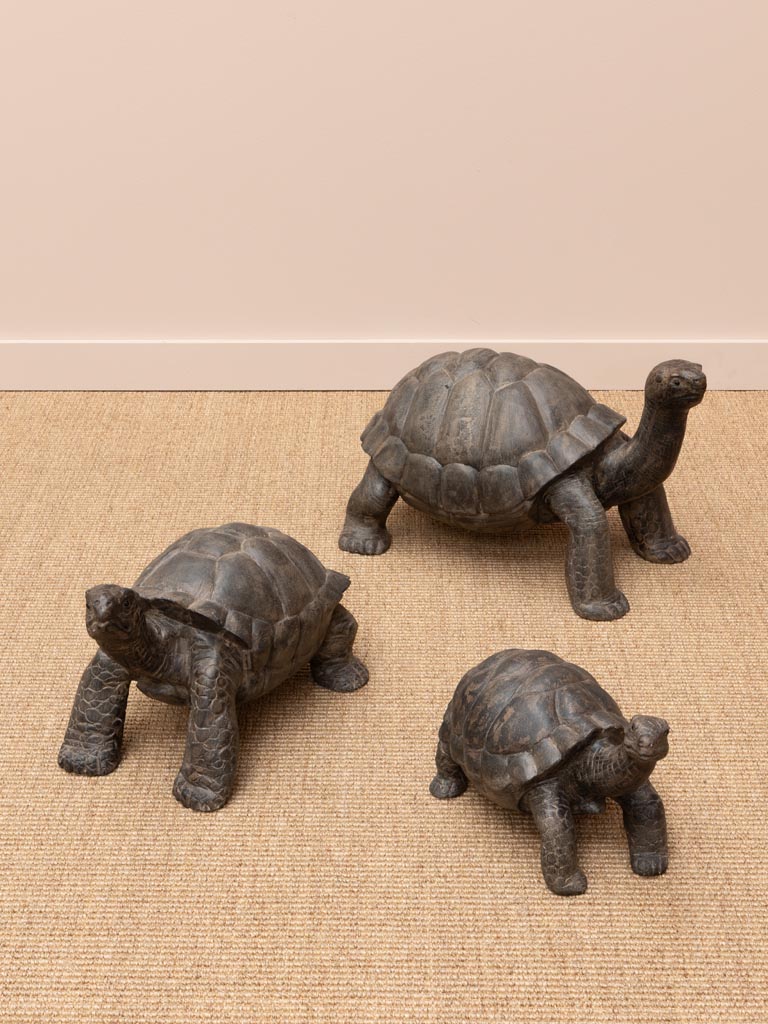 Petite tortue bois massif - 6