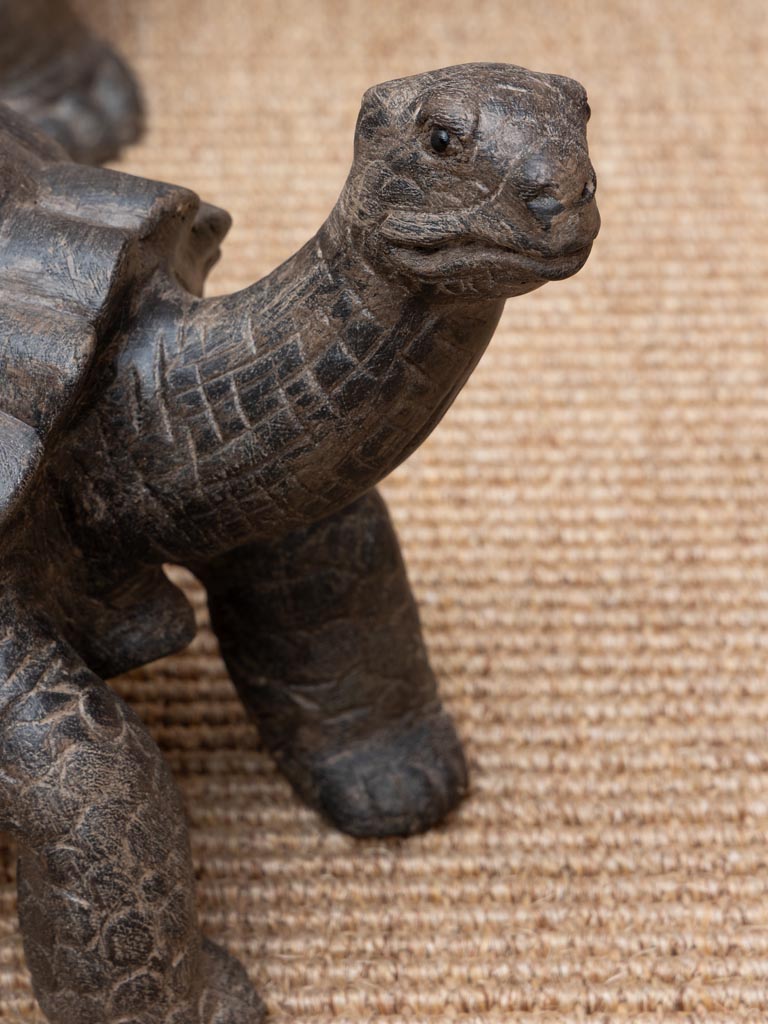 Petite tortue bois massif - 5