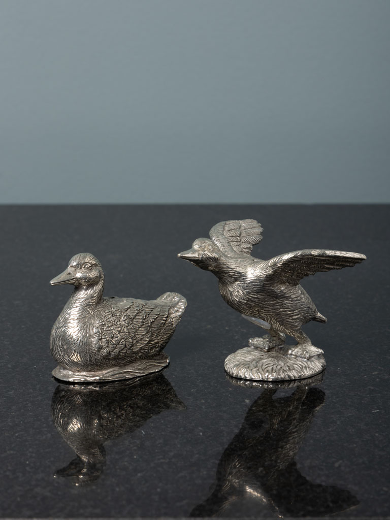 Salt & pepper duck - 1