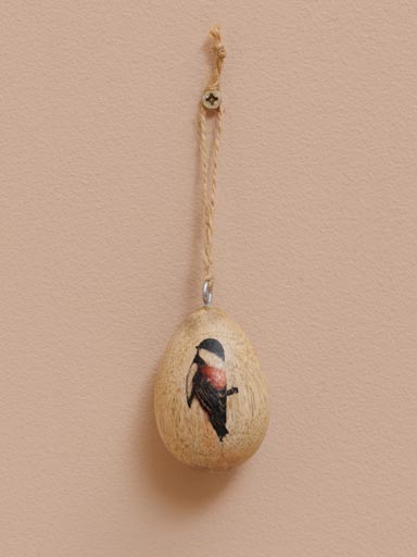 Egg hanging bird