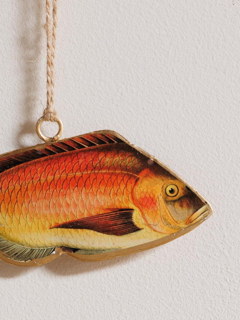 Fish hanging red & orange - 3
