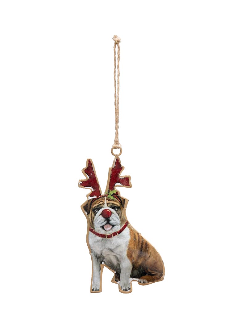 Suspension chien déguisé - 2