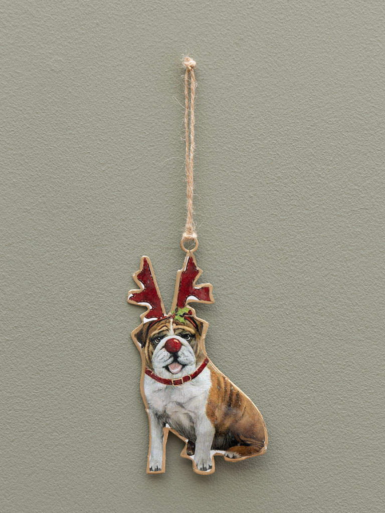 Suspension chien déguisé - 1