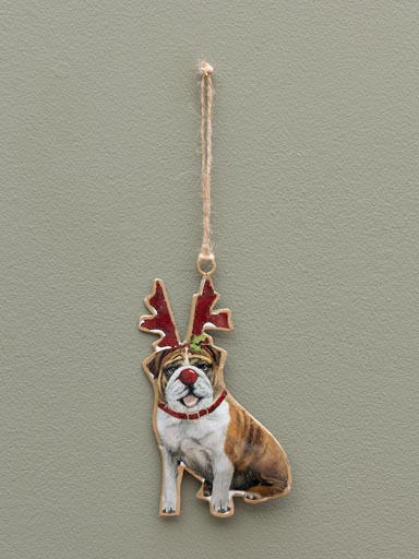 Hanging dog in disguise