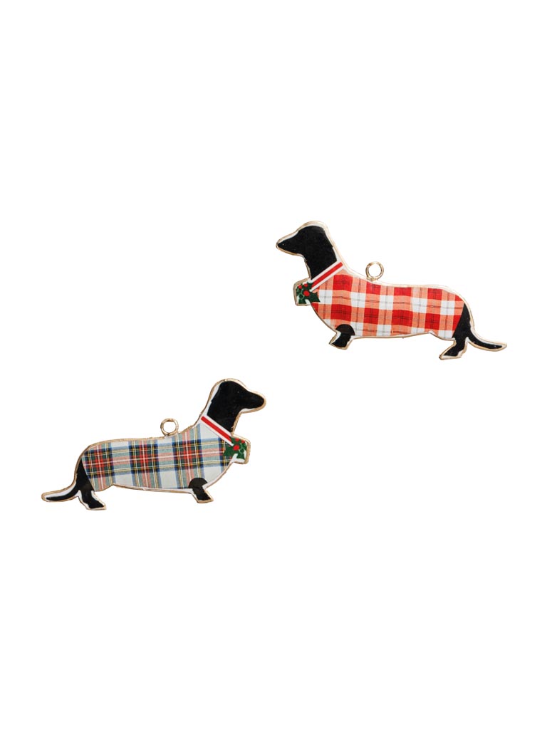 S/2 suspensions Chien - 2