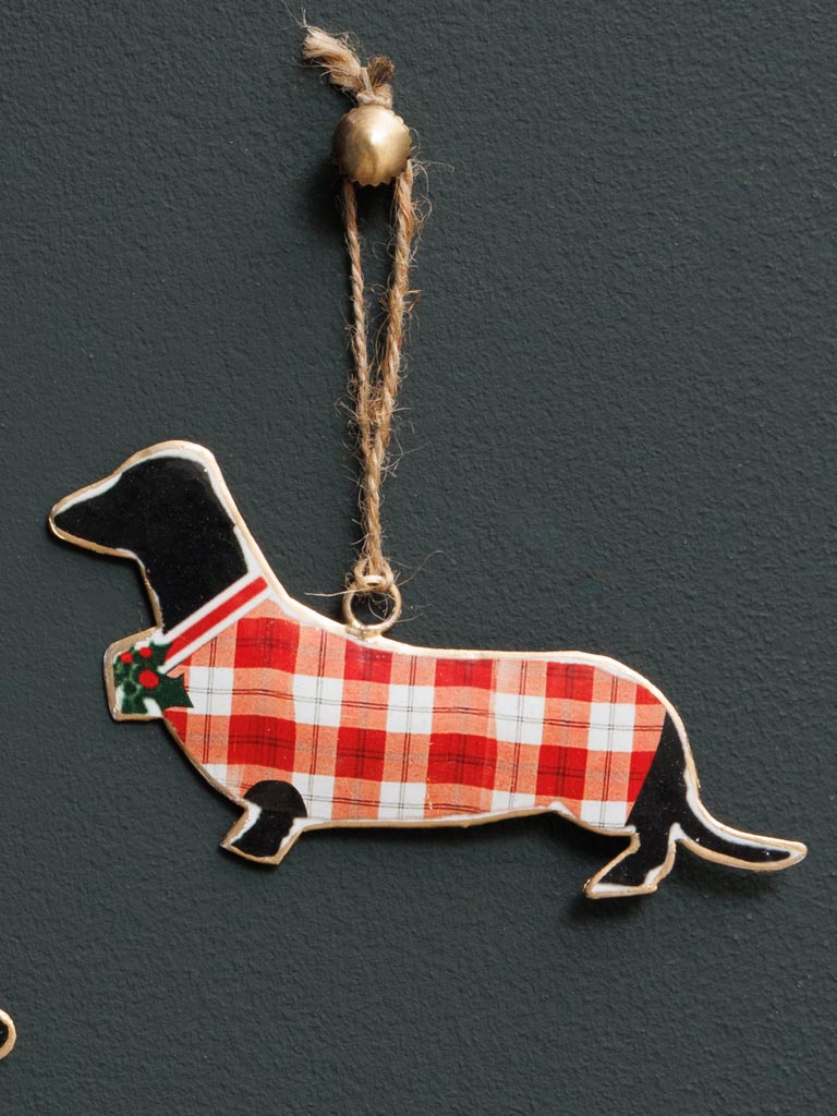 S/2 suspensions Chien - 4