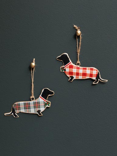 S/2 suspensions Chien