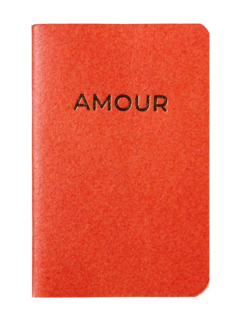Small soft cover notebook Amour - 2