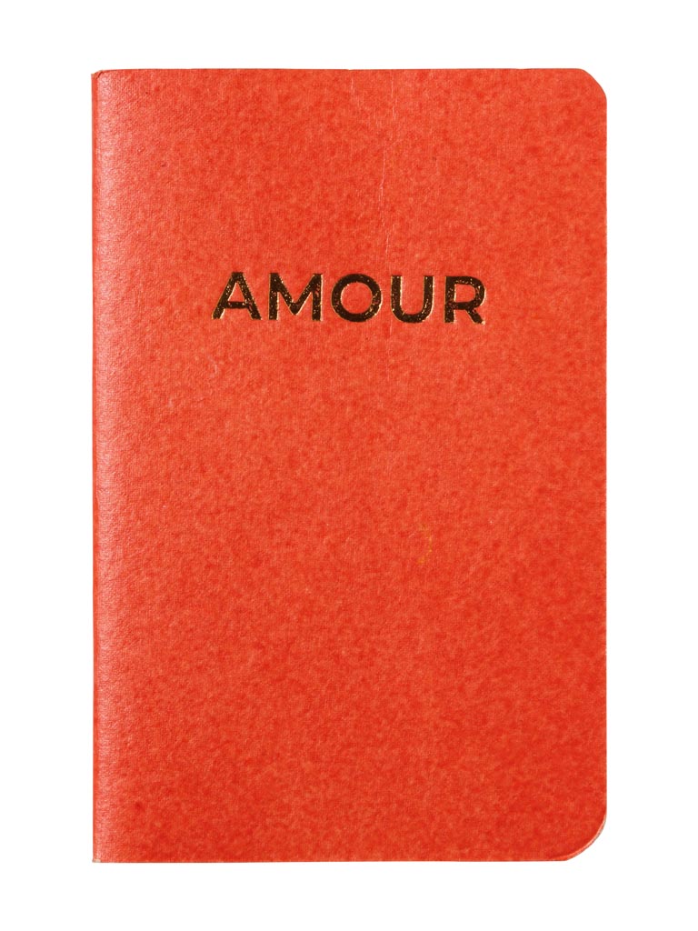 Small soft cover notebook Amour - 2
