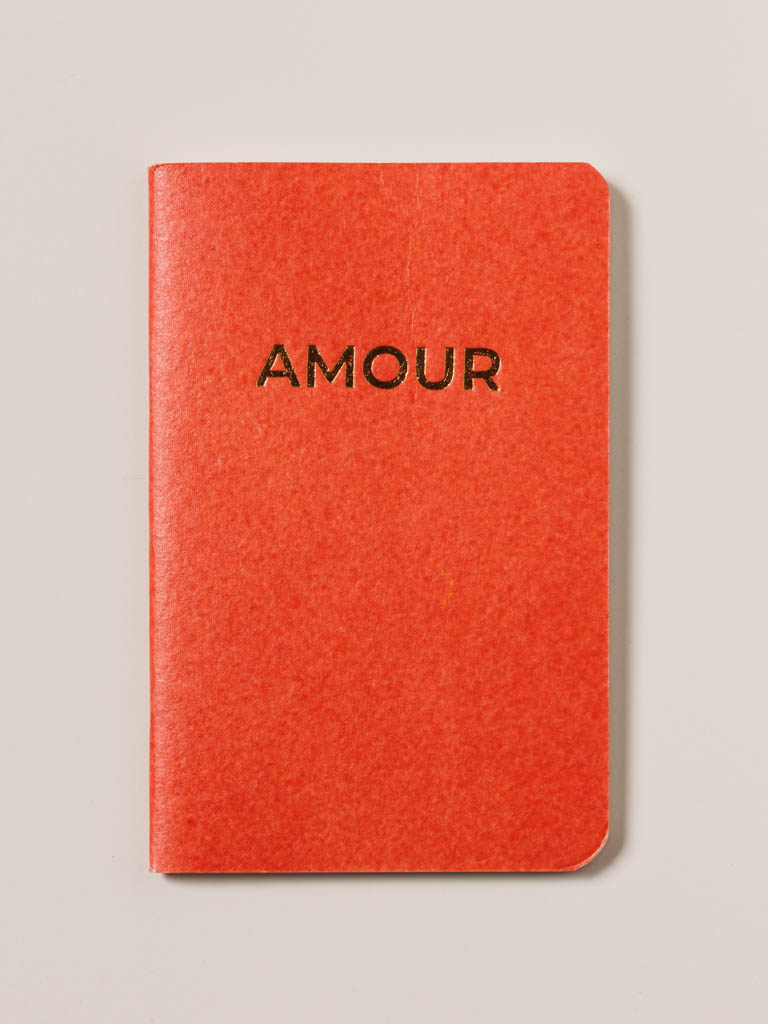 Small soft cover notebook Amour - 1
