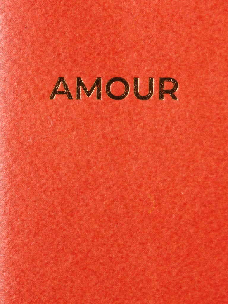 Small soft cover notebook Amour - 3