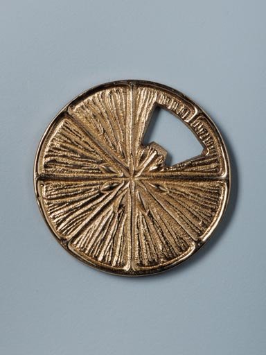 Bottle opener Lemon