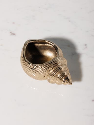 Lumignon coquillage Neptune