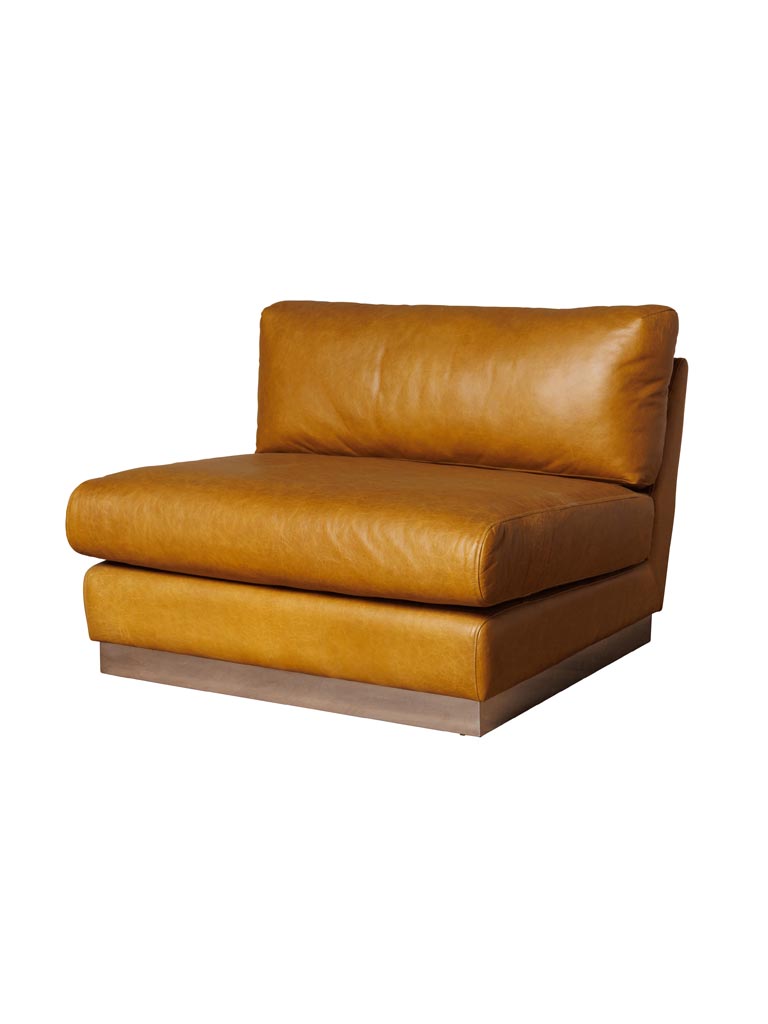 Armchair brown Minneapolis - 2