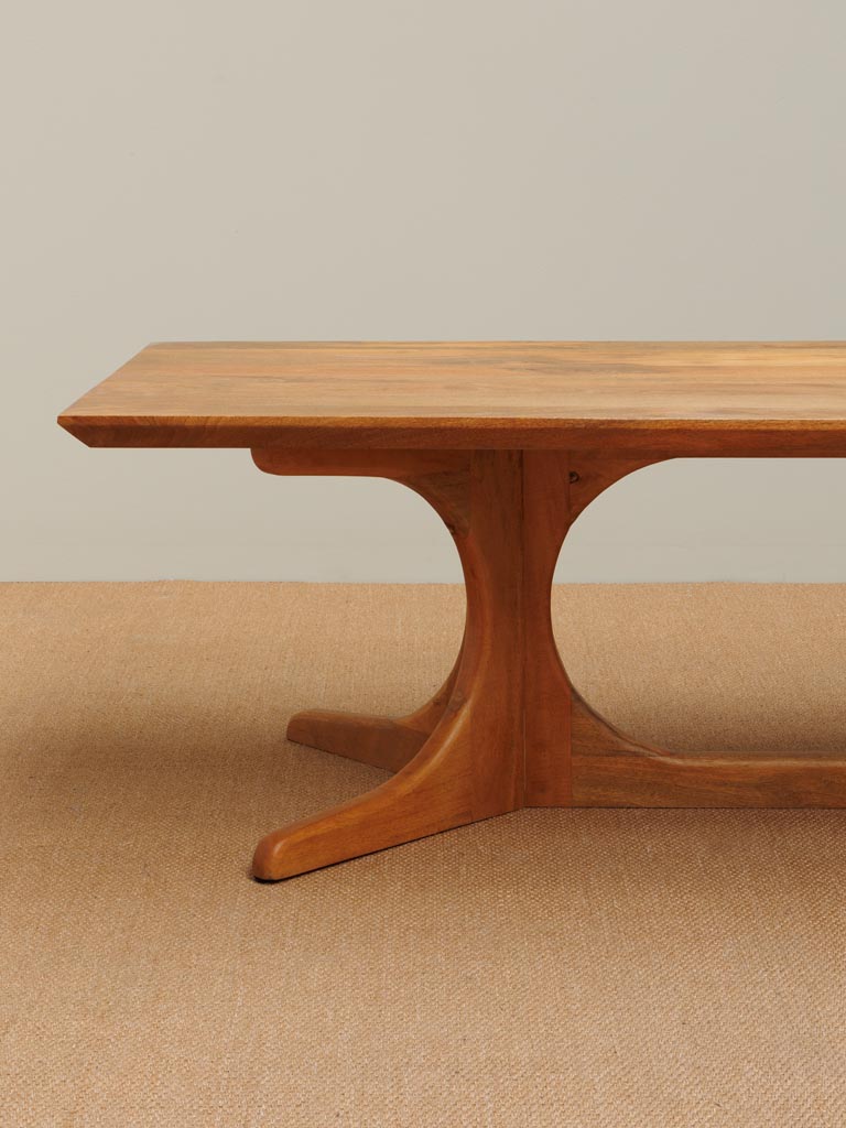 Grande table basse Briançon - 5