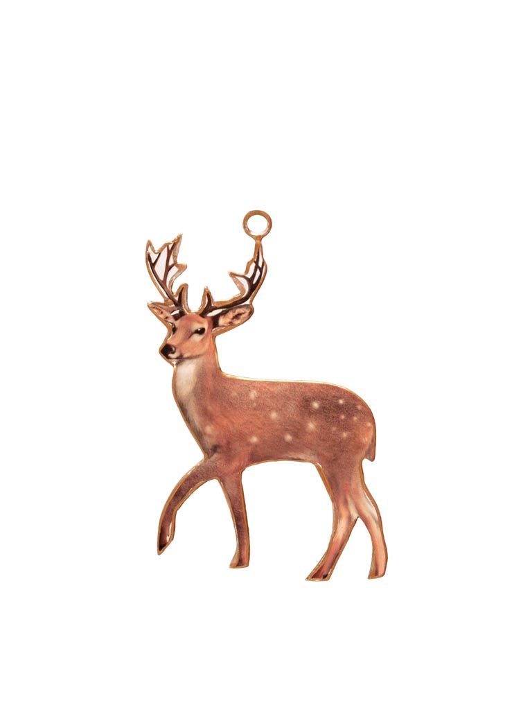 Hanging deer - 2