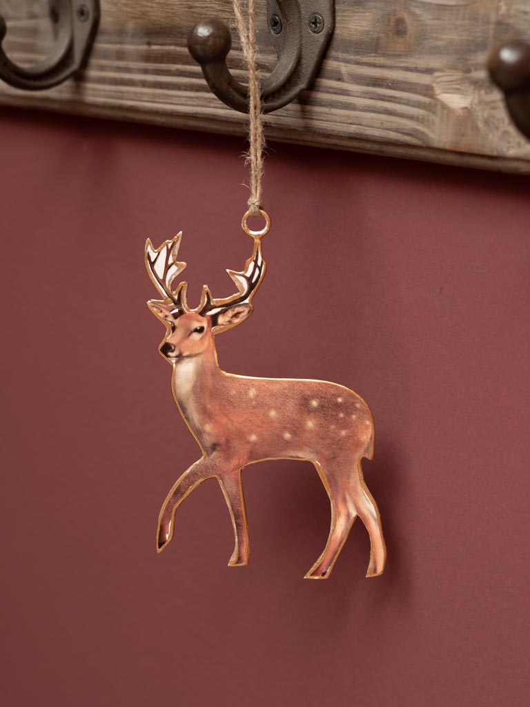 Hanging deer - 1