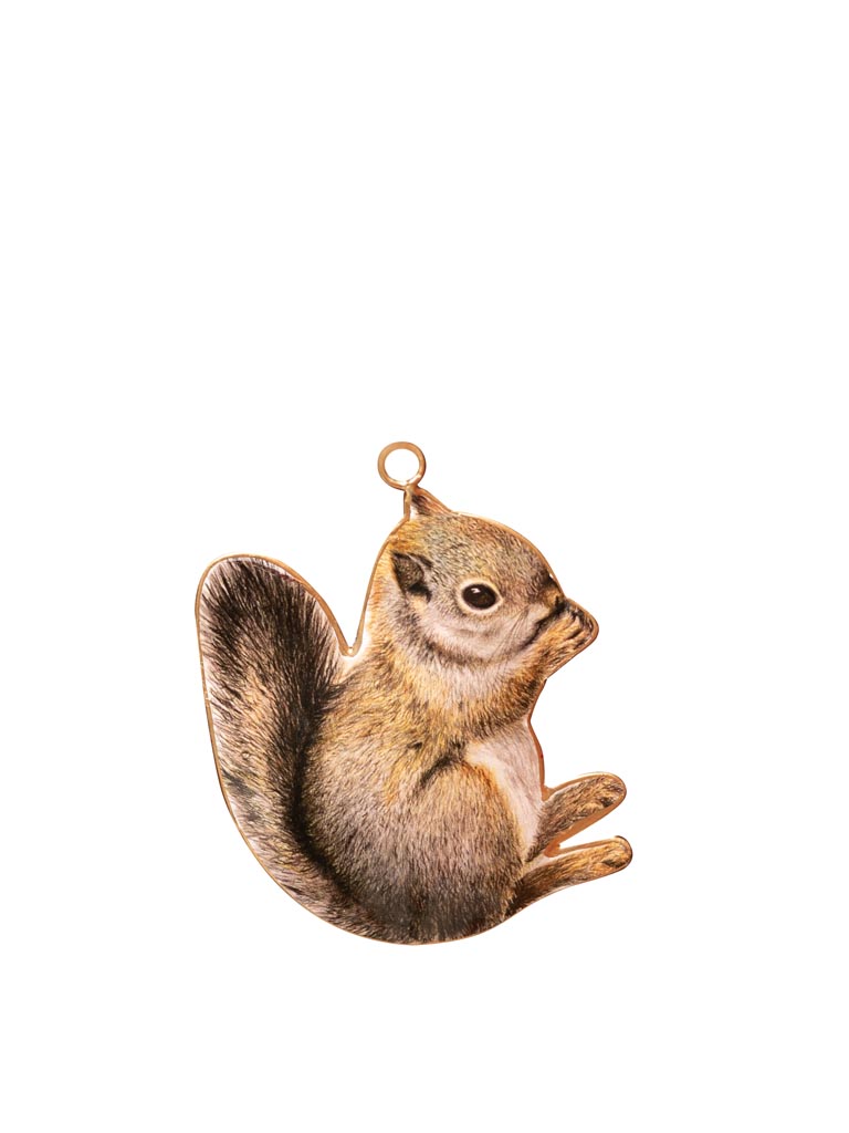 Hanging squirrel - 2