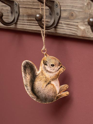 Hanging squirrel