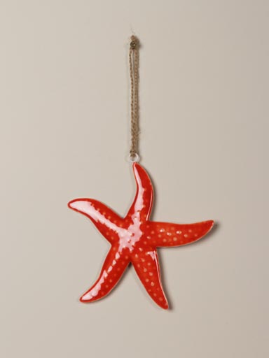 Hanging enamel starfish