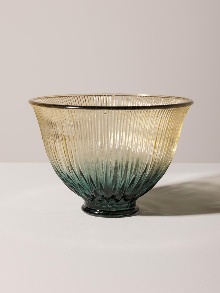 Bicolor bowl in glass - 3
