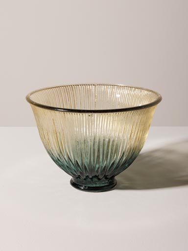 Bicolor bowl in glass