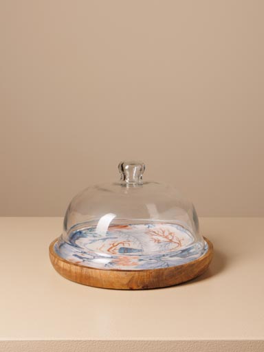 Small round cake tray with cover Coral