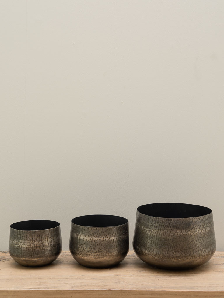 S/3 pots Serpentes métal argenté - 3