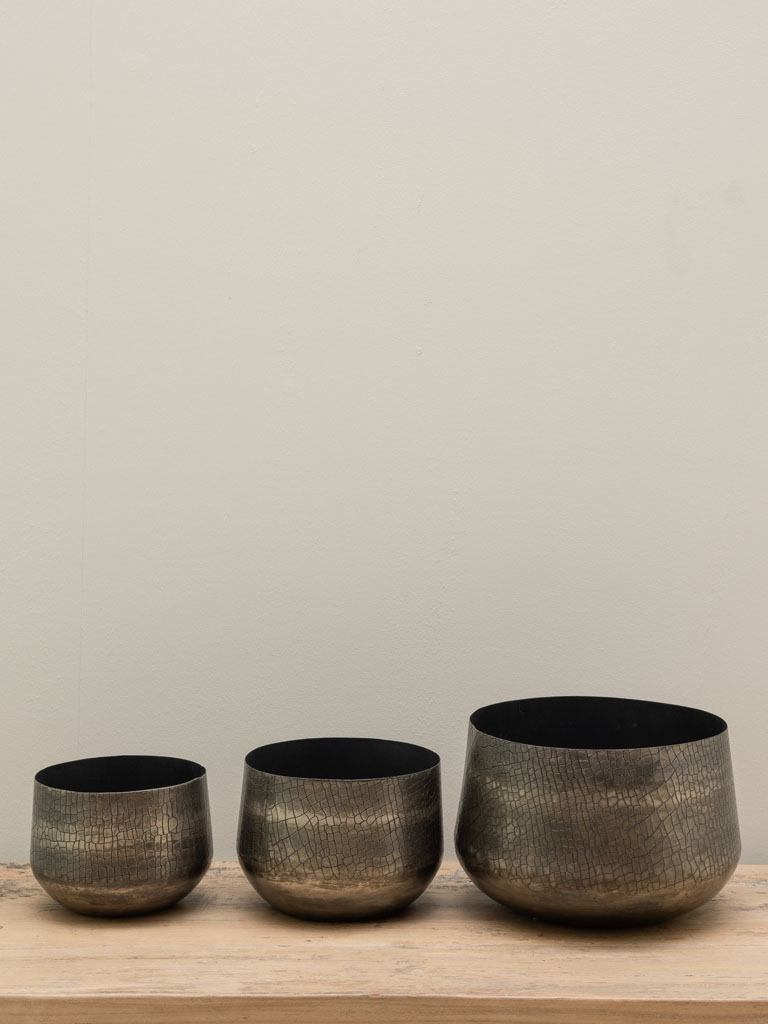 S/3 pots Serpentes métal argenté - 4