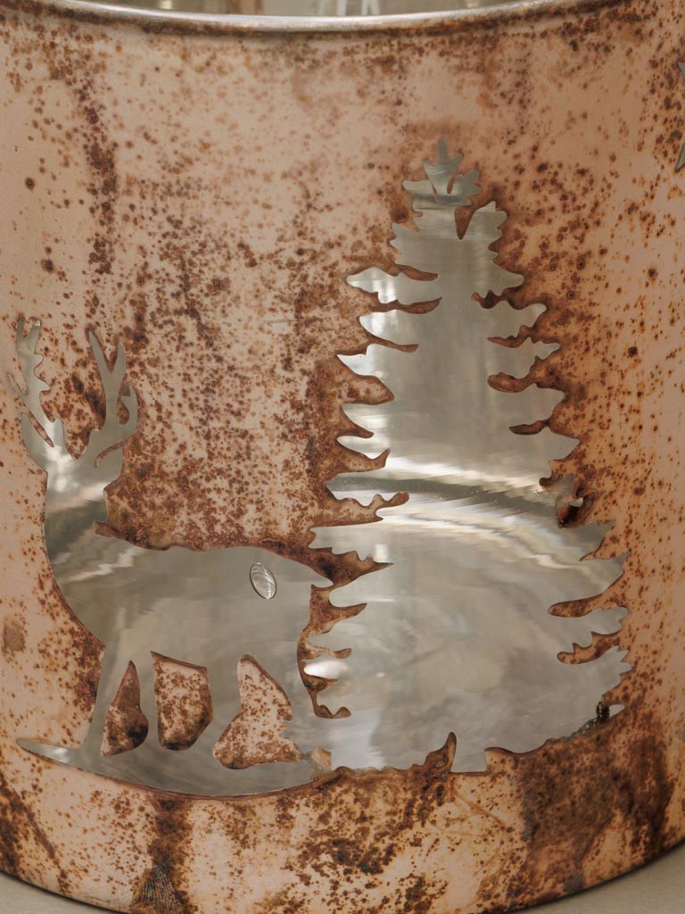 S/2 photophores cerfs en forêt - 6