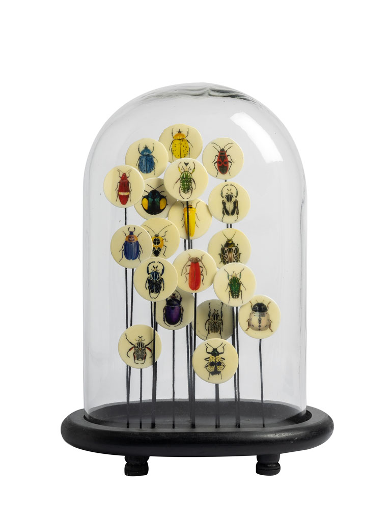 Glass dome with colored insects - 2