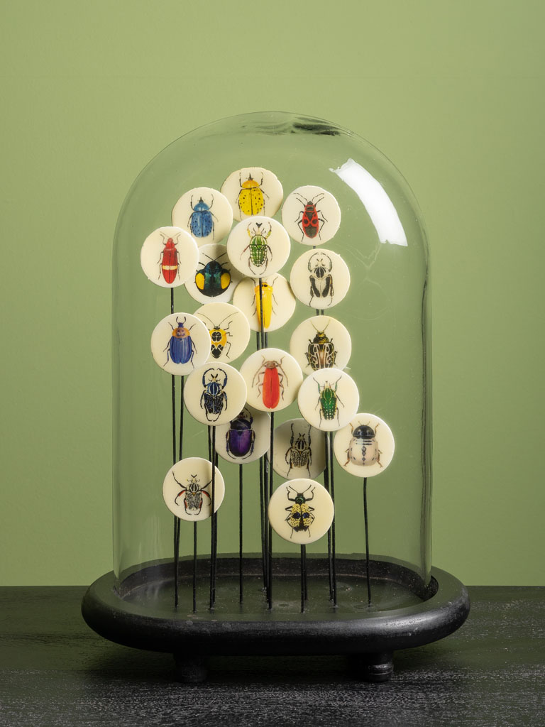 Glass dome with colored insects - 1