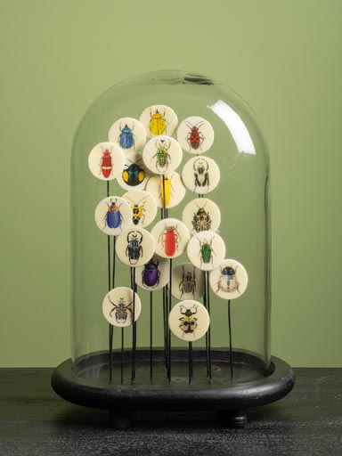 Glass dome with colored insects