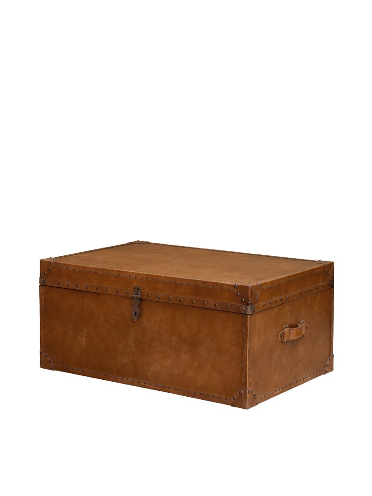 Trunk with studs - 4